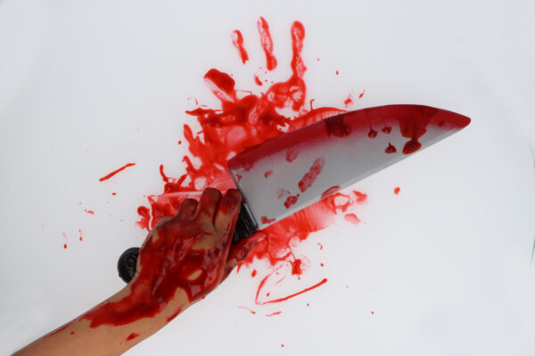 Bloodied Large Knife Halloween Costume Accessory – Scary Prop Weapon (38cm)