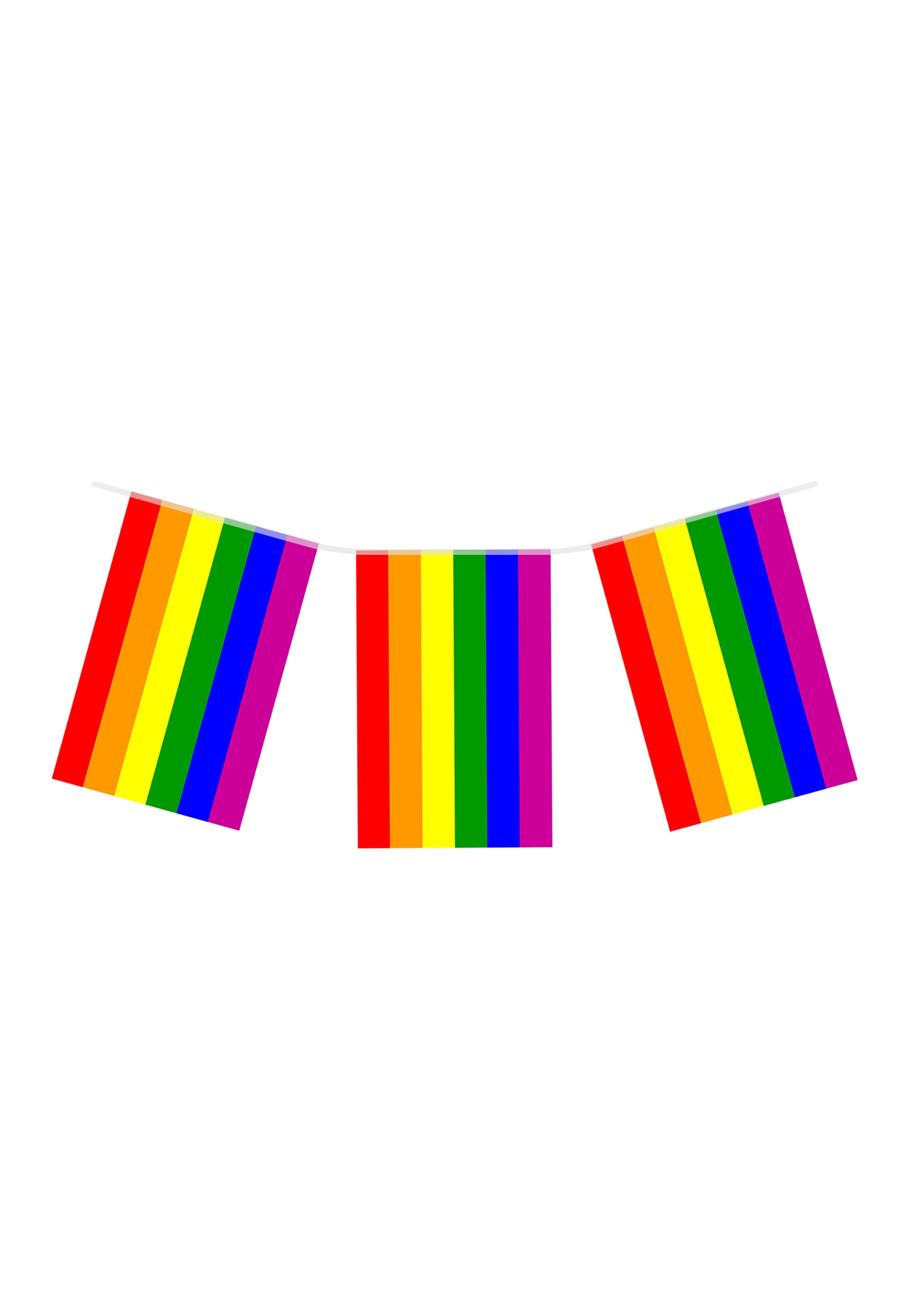 Rainbow Pride flag bunting 10m with 20 flags