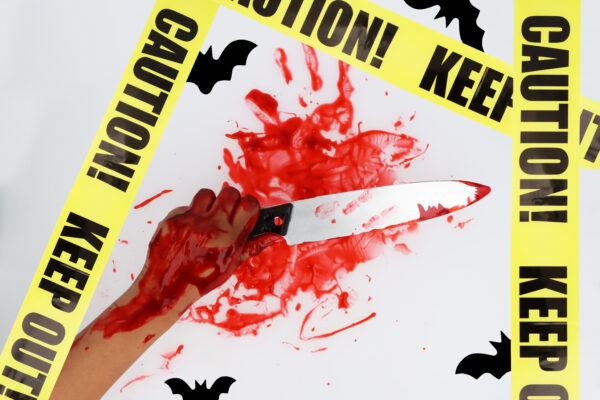 Bloodied Knife Halloween Costume Accessory – Scary Prop Weapon (31cm)