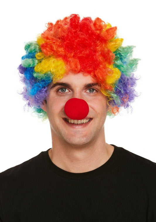 Adult Rainbow Clown Afro Wig with Red Foam Nose Halloween Fancy Dress Set - Labreeze