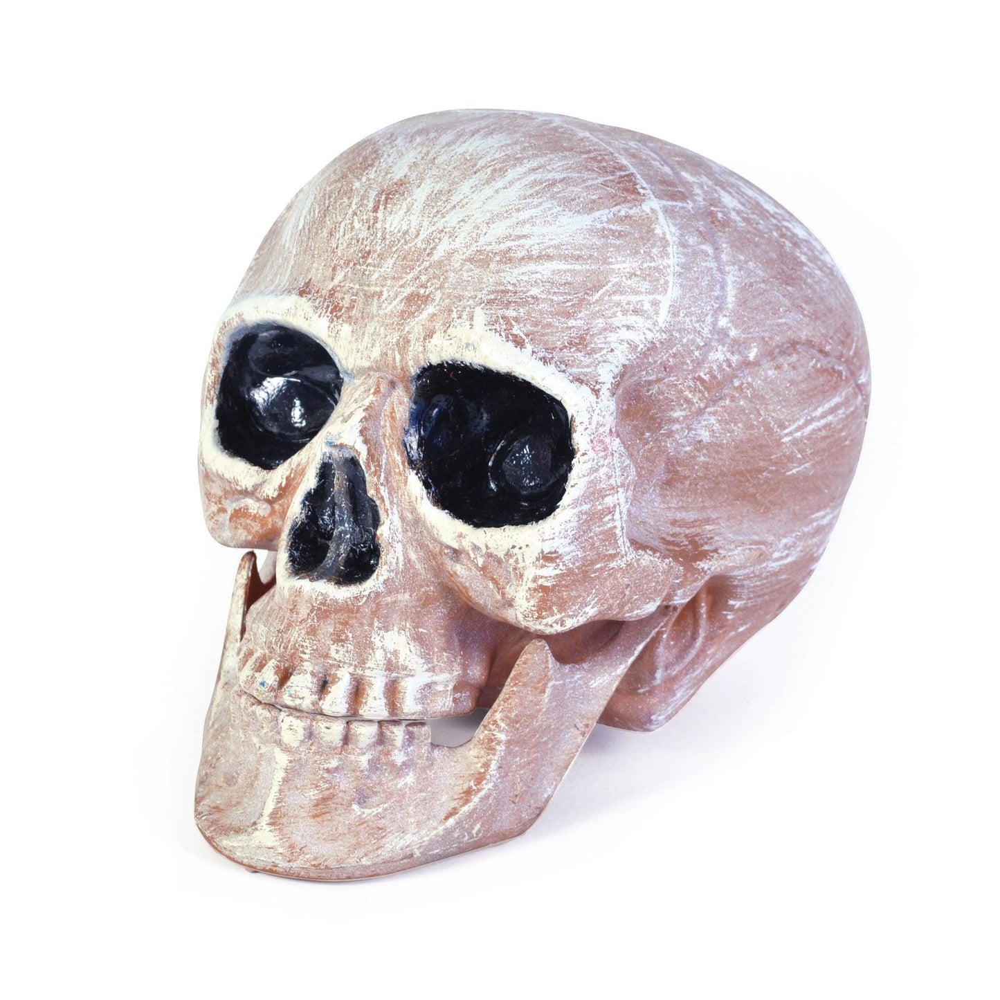 Realistic Skull Head - Labreeze