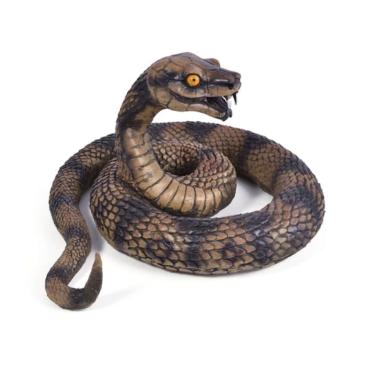 Snake Coiled - Labreeze