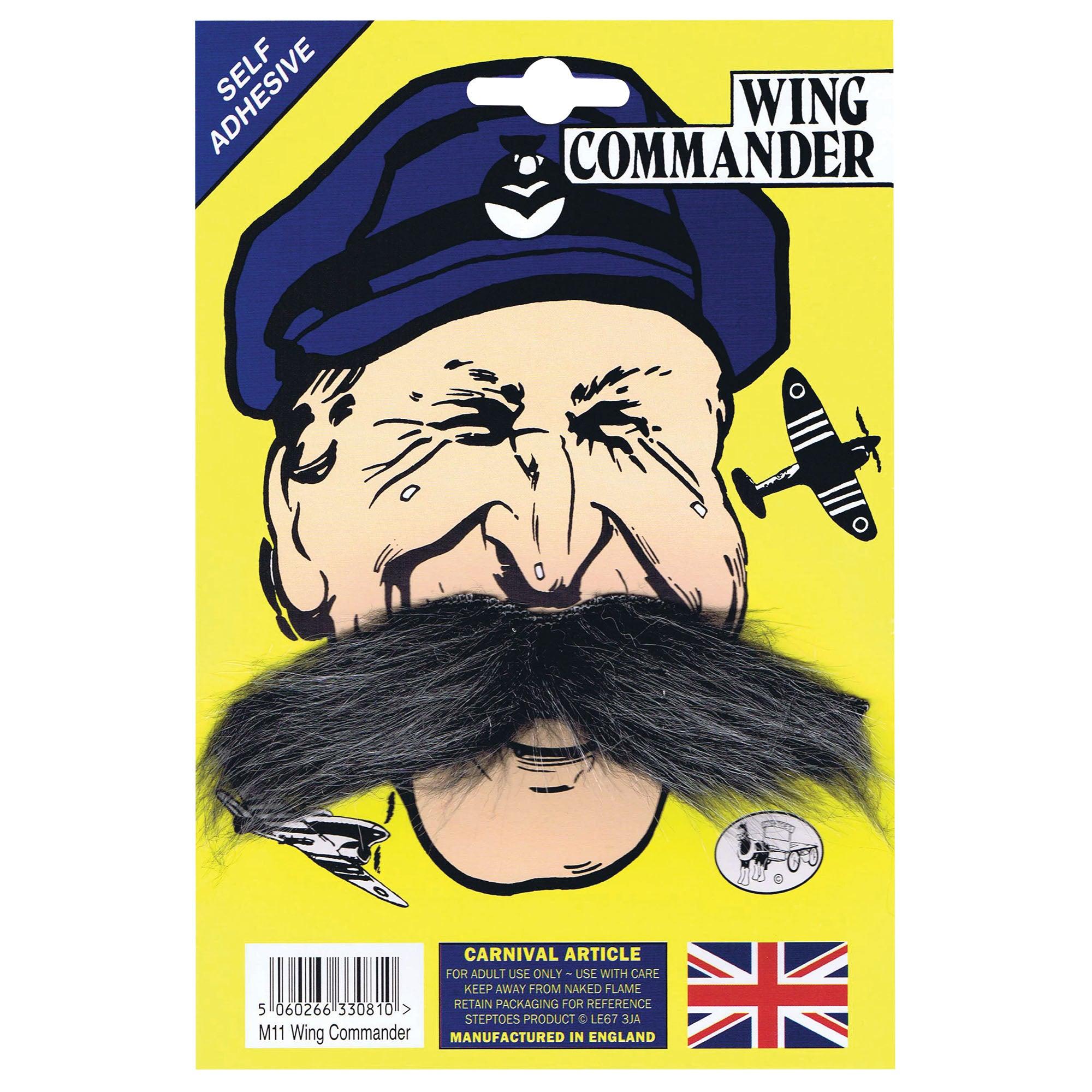 Wing Commander Moustache – Labreeze Ltd